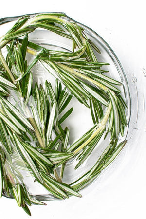 HUILE DE ROMARIN BIO