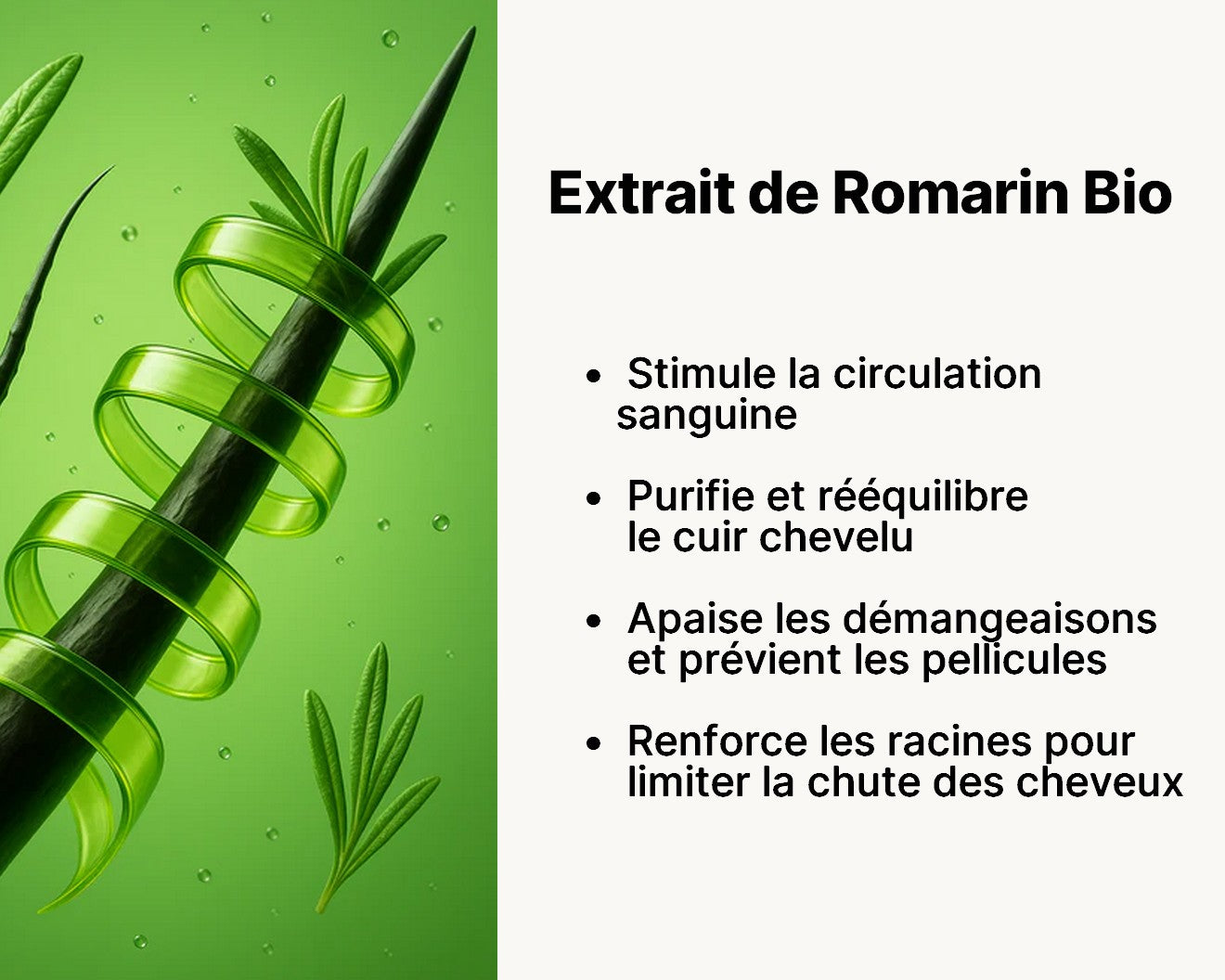 romarin_cheveux.jpg